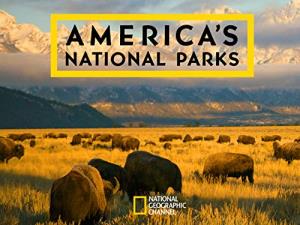 Wildlife: America's National Parks Poster