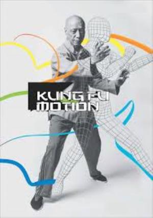 Investigates: Kung Fu Motion Poster