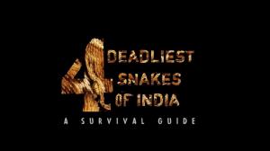 4 Deadliest Snakes Of India Poster