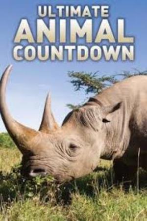 Wildlife: Ultimate Animal Countdown Poster