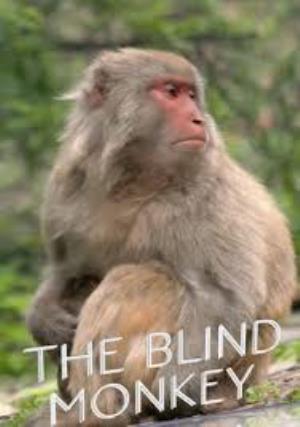 The Blind Monkey Poster