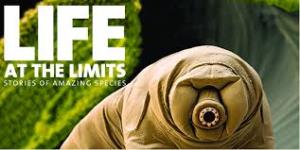 Life At The Limits Poster