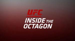 UFC Inside The Octagon Poster