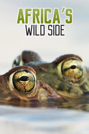 Africa's Wild Side Poster