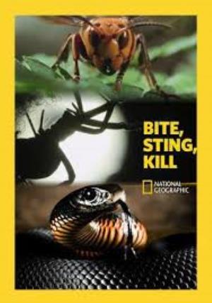 Bite Sting Kill Poster