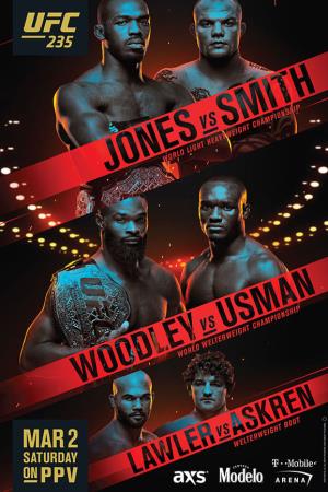 UFC 235 Poster