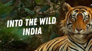 Into The Wild India Poster