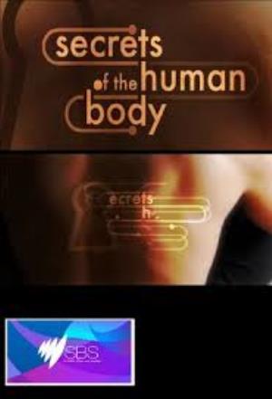 Secrets Of The Human Body Poster