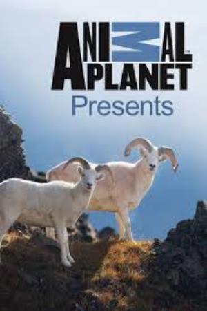 Animal Planet Presents Poster