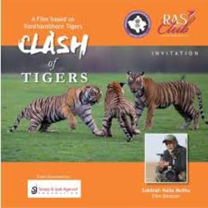 Clash of Tigers Poster