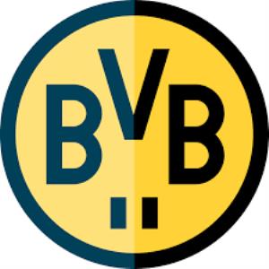 BVB TV Poster