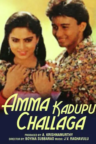 Amma Kadupu Challaga Poster