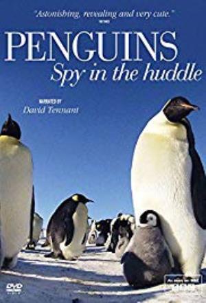 Penguins: Spy In The Huddle Poster