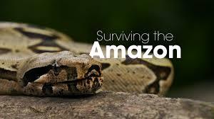 Surviving The Amazon Poster