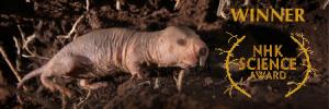 Naked Molerat: Nature's Weirdest Superhero Poster