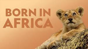 Born In Africa Poster