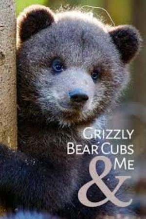 Grizzly Bear Cubs And Me Poster