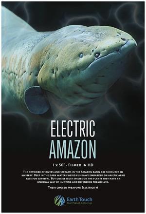 Electric Amazon Poster