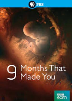 Nine Months That Made You Poster
