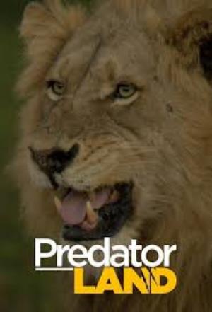 Predator Land Poster