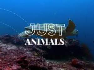 Just Animals Poster