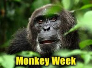 Monkey Week Poster