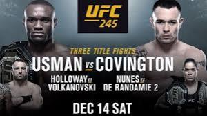 UFC 245 Live Poster