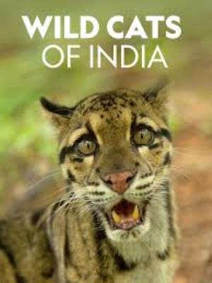 Wild Cats Of India Poster
