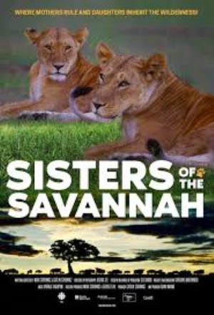 Sisters Of The Savannah Poster