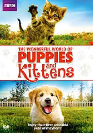 The Wonderful World Of Puppies Poster