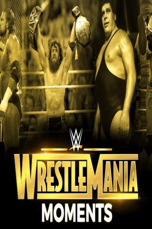 Wrestlemania Greatest Moments Poster