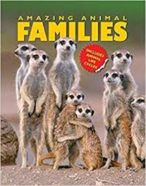 Amazing Animal Families Poster