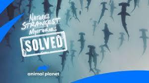 Nature's Strangest Myteries: Solved Poster