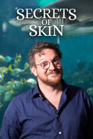 Secrets Of Skin Poster