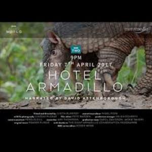 Hotel Armadillo Poster