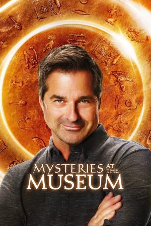 Mysteries At The Museum Poster