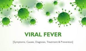 Best Of Virel Fever Poster