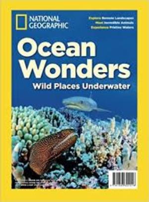 Wonders Of The Ocean Poster