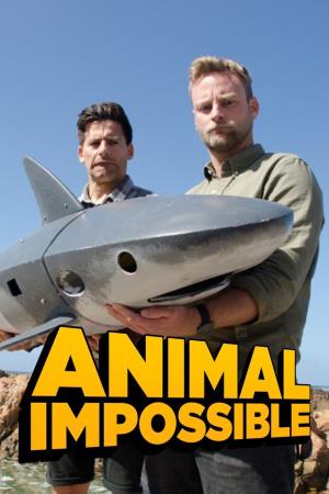 Animal Impossible Poster