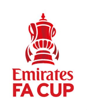 The Emirates FA Cup 2020/21 Poster