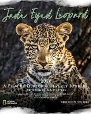 Jade Eyed Leopard Poster