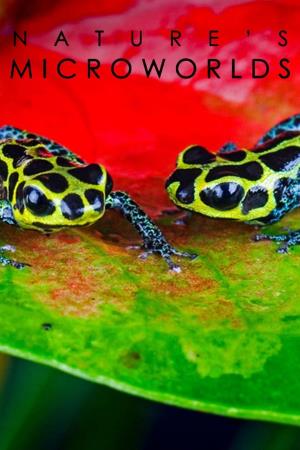 Nature's Microworlds Poster