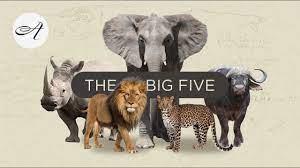 Africa's Big Five Poster