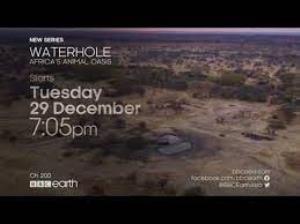 Waterhole Africa's Animal Oasis - Presenterless Poster