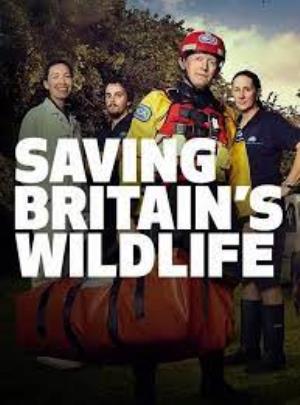 Saving Britain's Wildlife Poster
