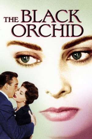 The Black Orchid Poster