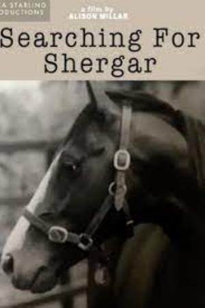Searching For Shergar Poster
