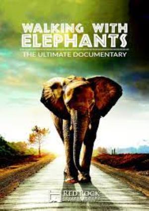 Walking With Elephants Poster