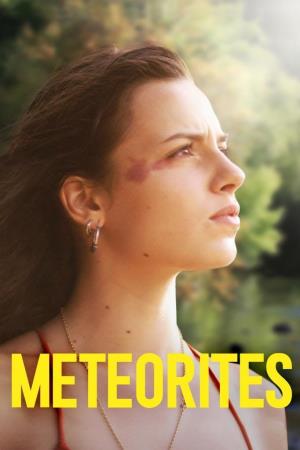 Meteorites! Poster