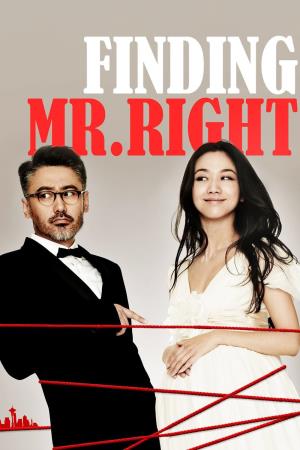 Finding Mr Right Poster
